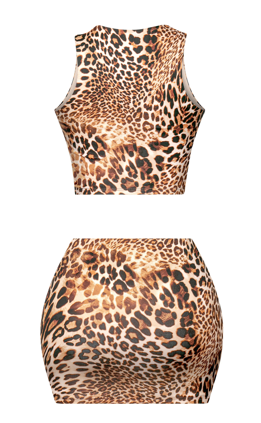 Kailyn Leopard Print Crop Top & Mini skirt Set