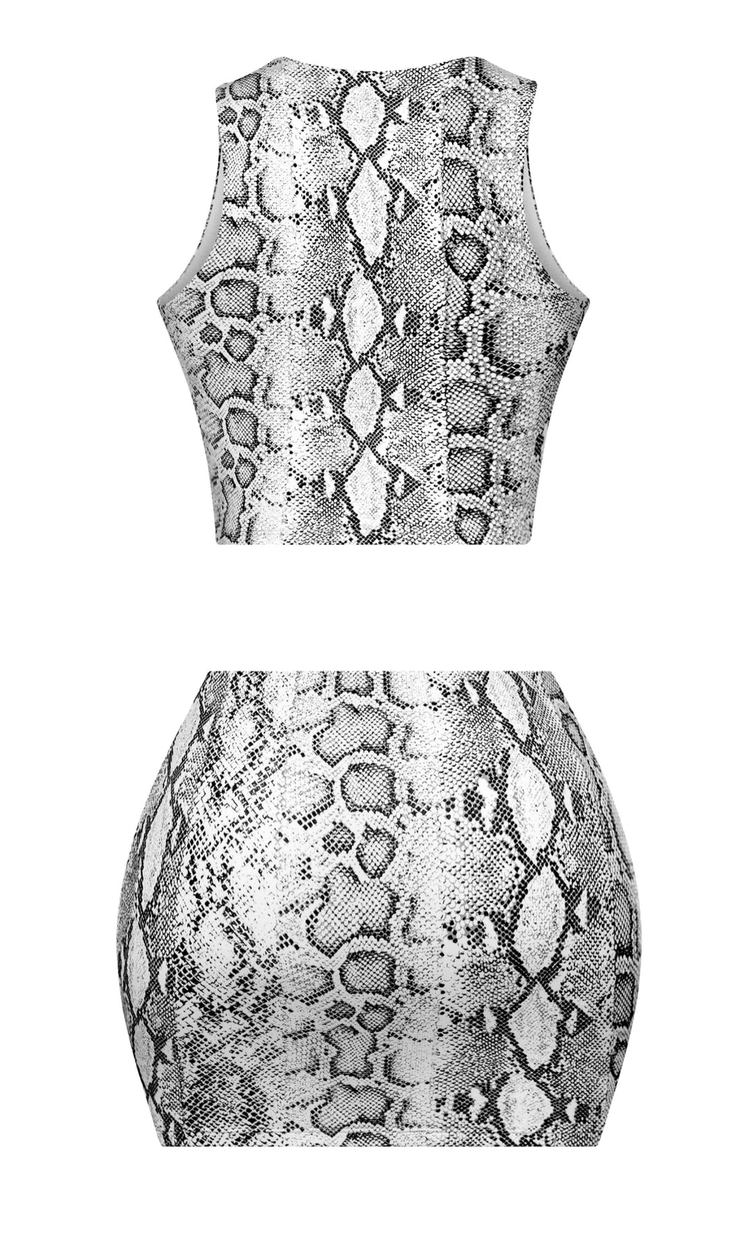 Crystal Snake Print Crop Top & Mini Skirt Set